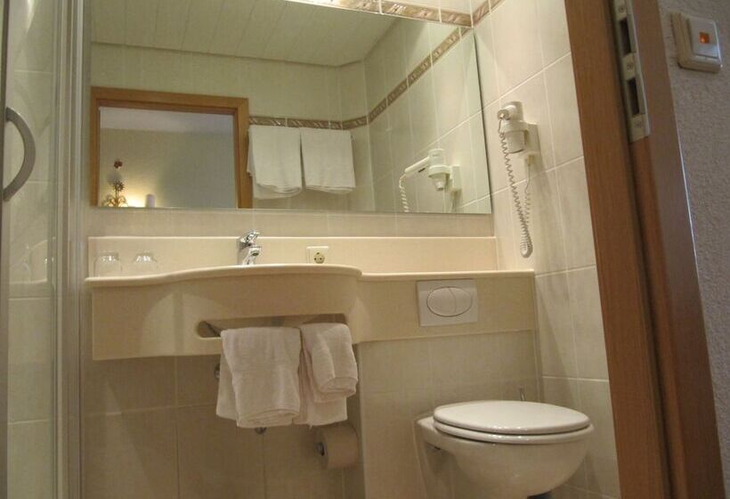 Номер Стандарт, Landhotel Zum Ochsen
