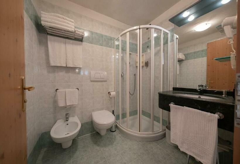 1 Bedroom Apartment Mountain View, Residence Kristall  Fiemme Holidays