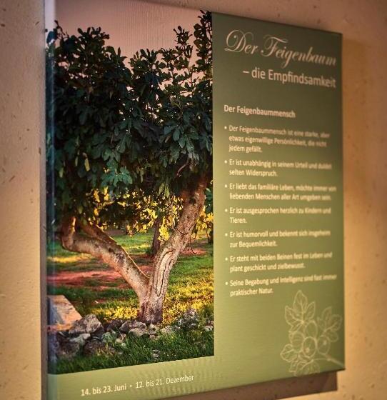 バルコニー付きデラックスルーム, Zedernhof Gesundheits  & Wellness