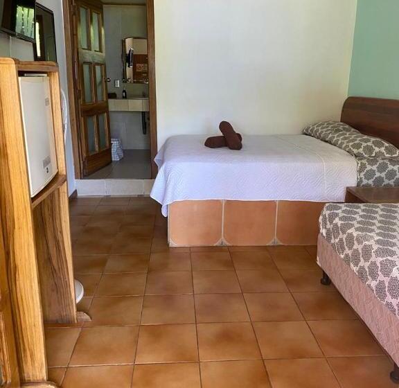 Quarto Estandar com Terraço, Posada Nena Caribe