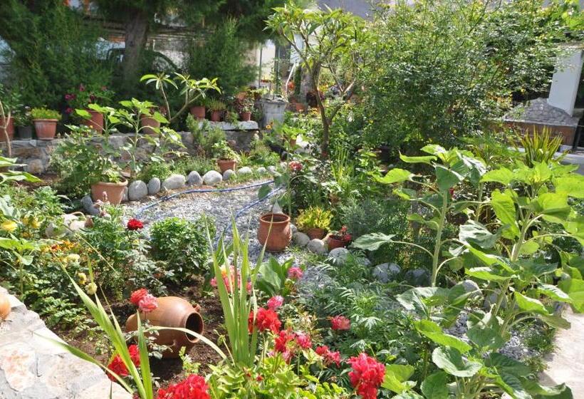 수피리어 룸, Paralia Guest House