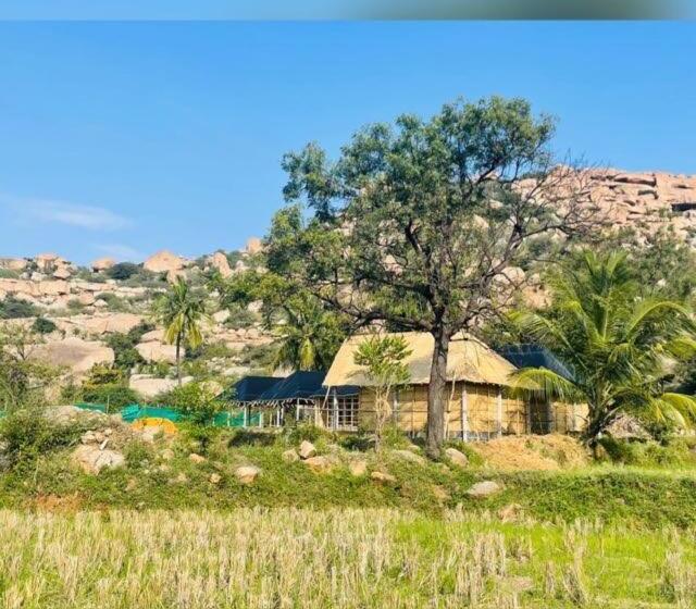 Стандартный Номер Кровать Кинг, Banana Tree Home Stay