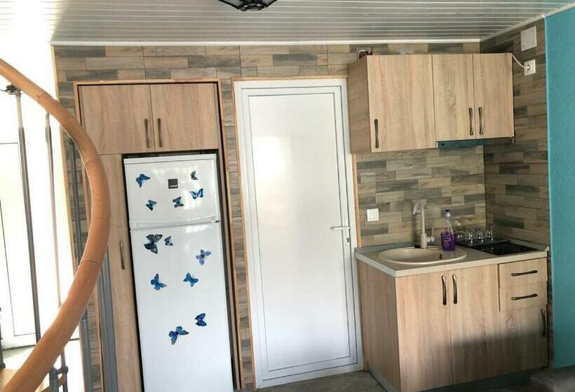 آپارتمان سوپریور 1 خوابه, Casa David