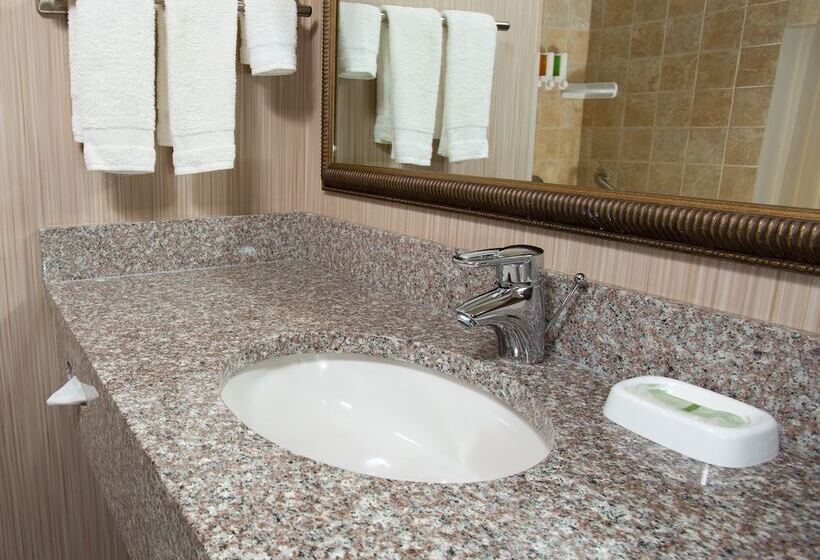 Номер Deluxe, Drury Inn & Suites Columbia Stadium Boulevard