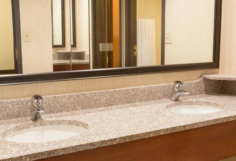 套房, Drury Inn & Suites St Louis Southwest