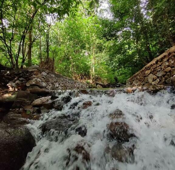 패밀리 룸 산 전망, Forest And River Edge Resort