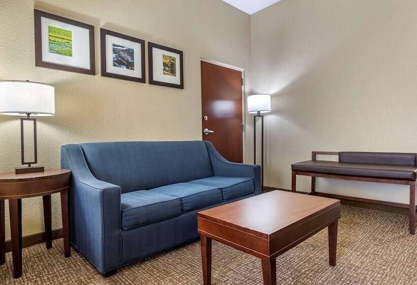 Люкс, Comfort Inn & Suites Mocksville I 40