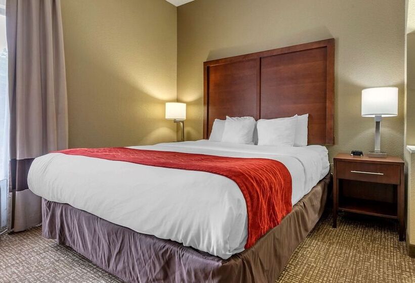 Люкс, Comfort Inn & Suites Mocksville I 40