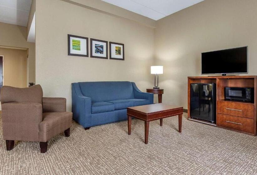 Люкс, Comfort Inn & Suites Mocksville I 40