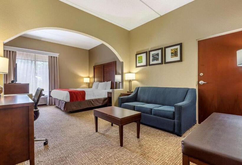 Люкс Кровать Кинг, Comfort Inn & Suites Mocksville I 40
