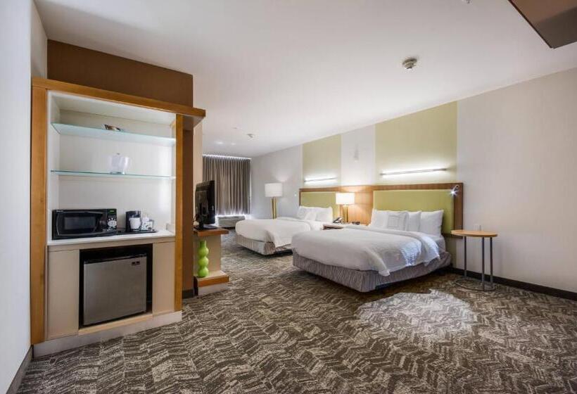 Люкс, Springhill Suites By Marriott Enid