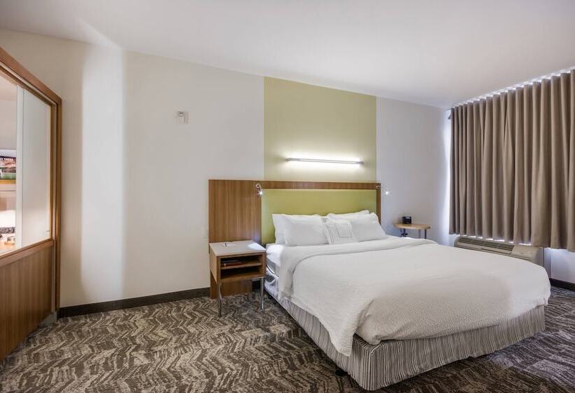 Люкс, Springhill Suites By Marriott Enid