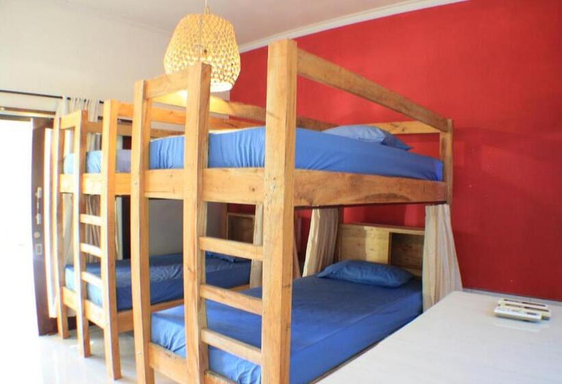 Кровать в Общей Комнате, Black Sand Hostel Amed