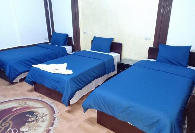 اتاق استاندارد چهار تخته, Cecilia Hostel