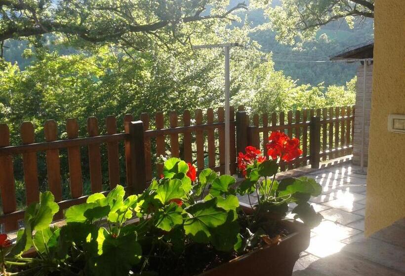 １ベッドルームアパートメント, Agriturismo Orsaiola