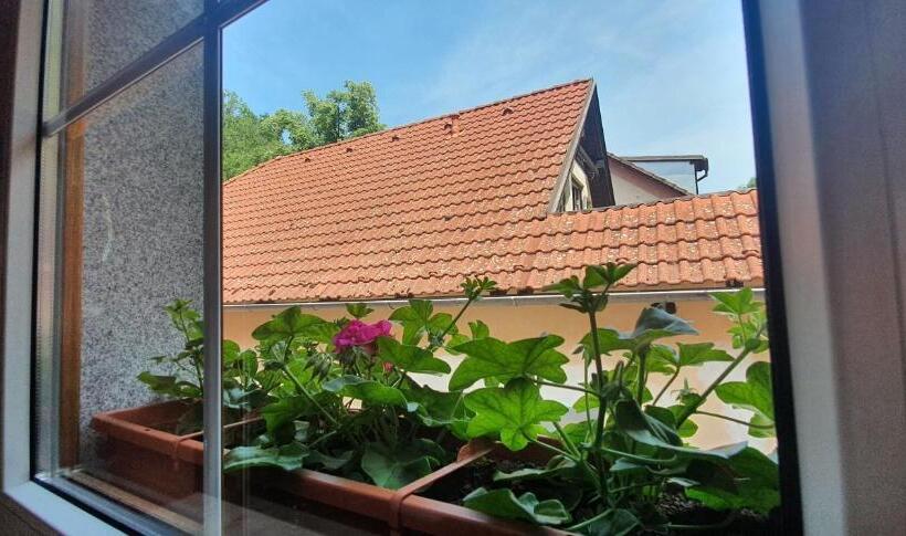 اتاق استاندارد یک نفره, Karlštejn & Spa