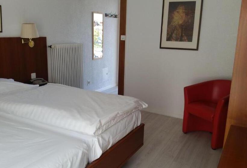 Номер Стандарт Индивидуальный, Motel Des Sports Martigny