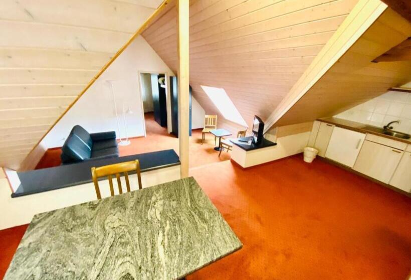 Студия Стандарт, Gasthof Kreuz Egerkingen