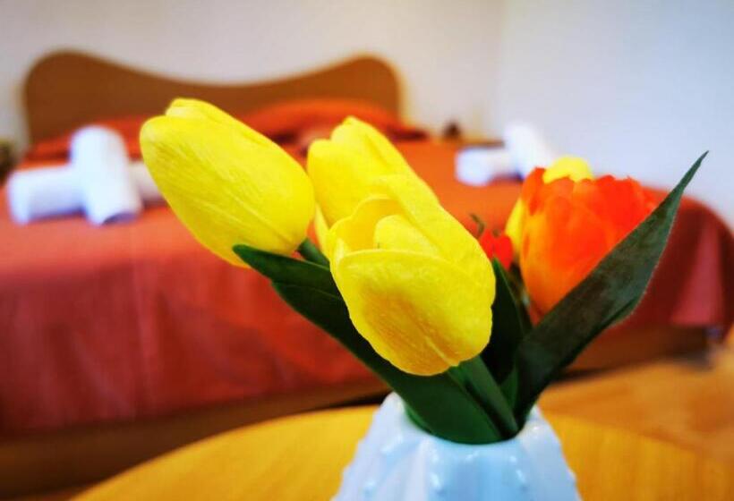 اتاق استاندارد, Apartamente Vila Arcadia