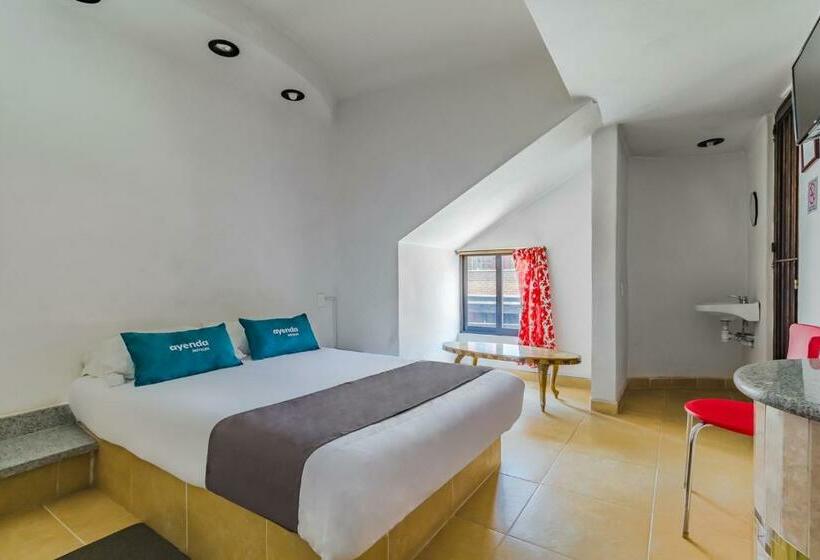Номер Стандарт, Posada El Pedregal