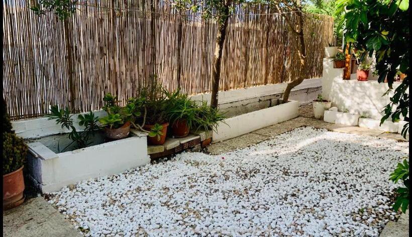 标准单人间, Semiramis Guesthouse