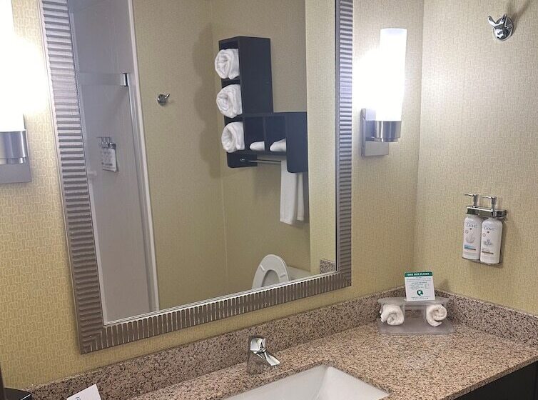 스탠다드 룸, Holiday Inn Express & Suites Pittsburgh Sw/southpointe, An Ihg