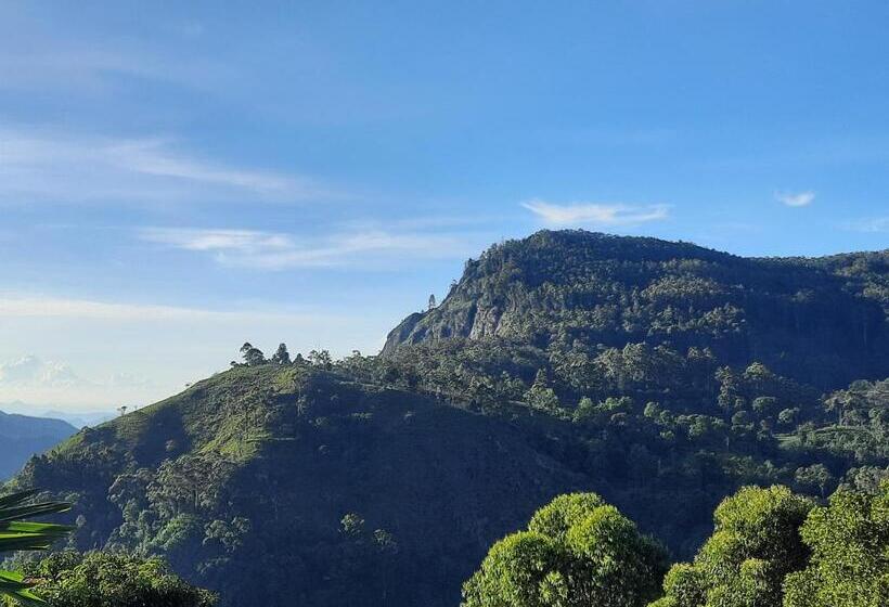 Quarto Estandar Vista Montanha, Aloft View