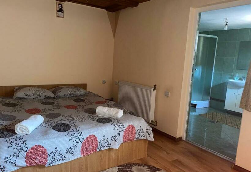 اتاق استاندارد, Casa Blendea Daniela