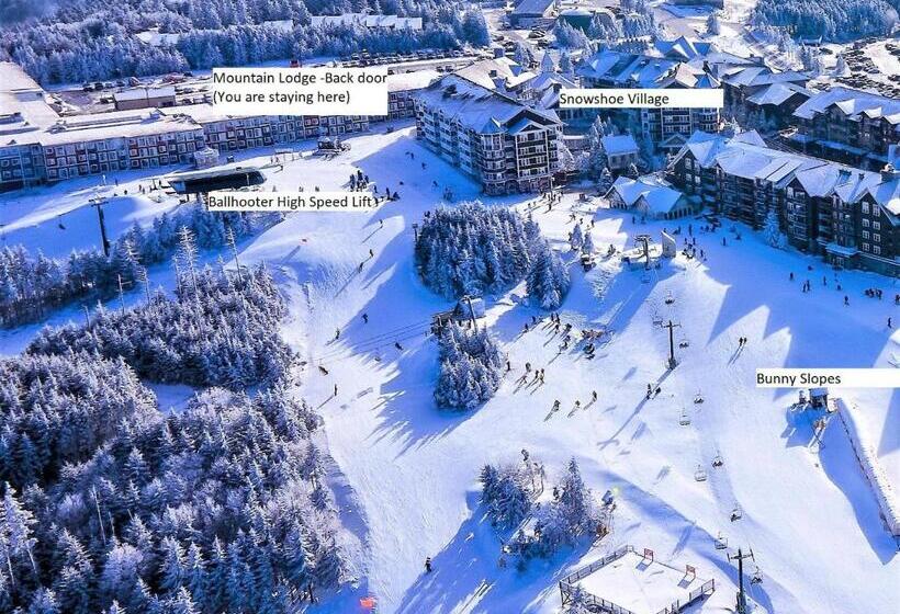 침실 1개 아파트, Stroll To Slopes, Village Area, Ski In Out Mtlodge 294