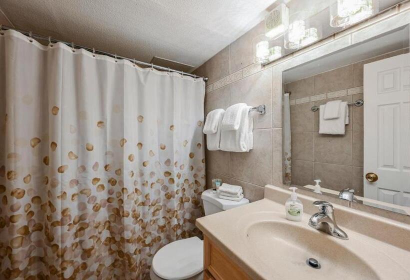 آپارتمان 3 خوابه, Stripviewsuites At Jockey Club