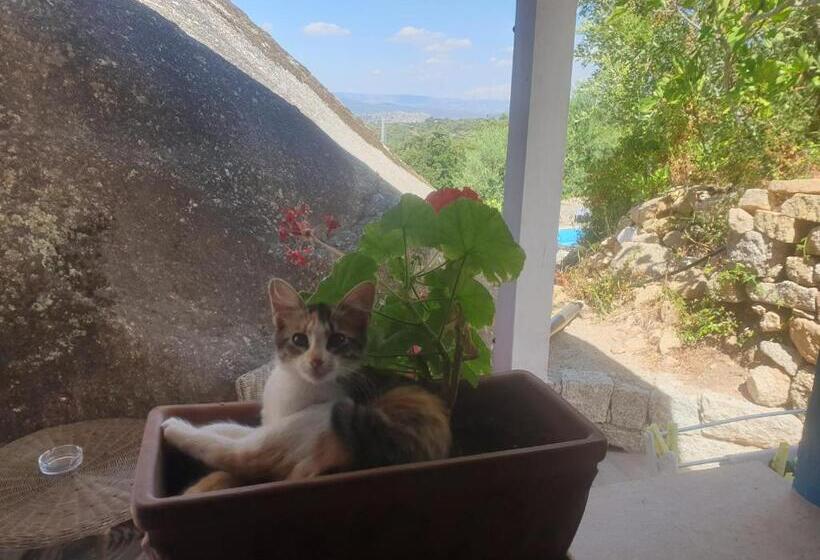 اتاق استاندارد اینتریور, B&b Tiscali