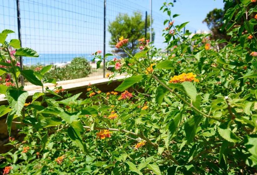 اتاق استاندارد, Villa Luisa B&b