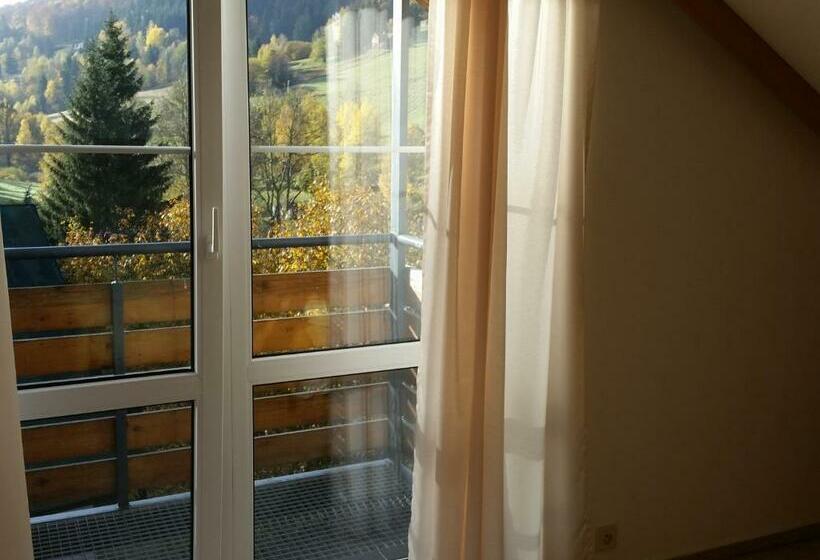 Апартаменты 1 Спальня, Apartmány Gryf Harrachov