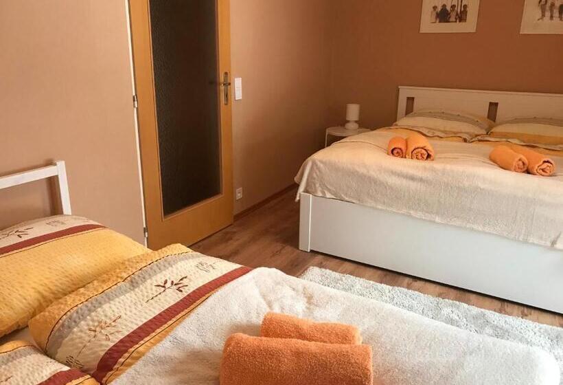 Апартаменты 1 Спальня с Террасой, Apartmány Gryf Harrachov