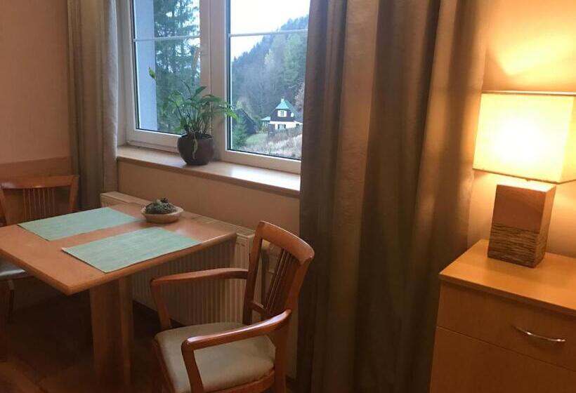 Апартаменты 1 Спальня, Apartmány Gryf Harrachov