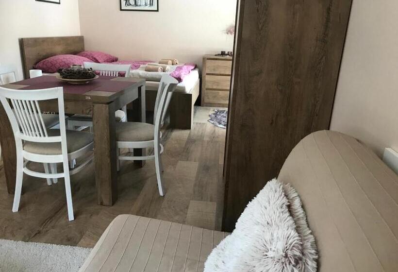 Апартаменты 1 Спальня с Видом, Apartmány Gryf Harrachov