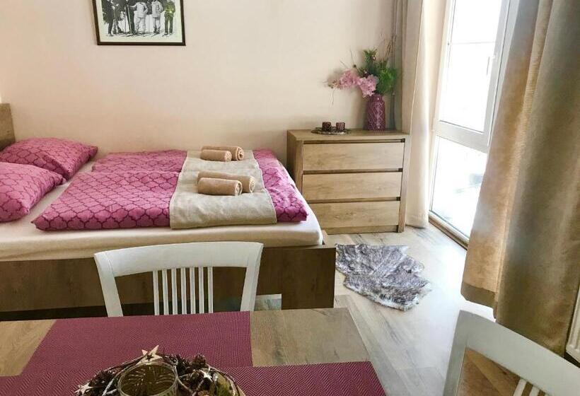 Апартаменты 1 Спальня с Видом, Apartmány Gryf Harrachov