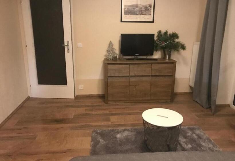 Апартаменты 1 Спальня, Apartmány Gryf Harrachov