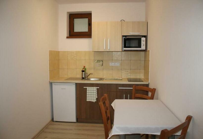 Студия Стандарт, Casa 77 Praid