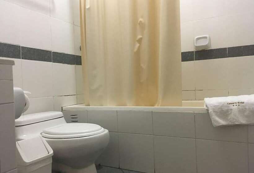 스탠다드 싱글 룸, Cesar S Hotel La Merced