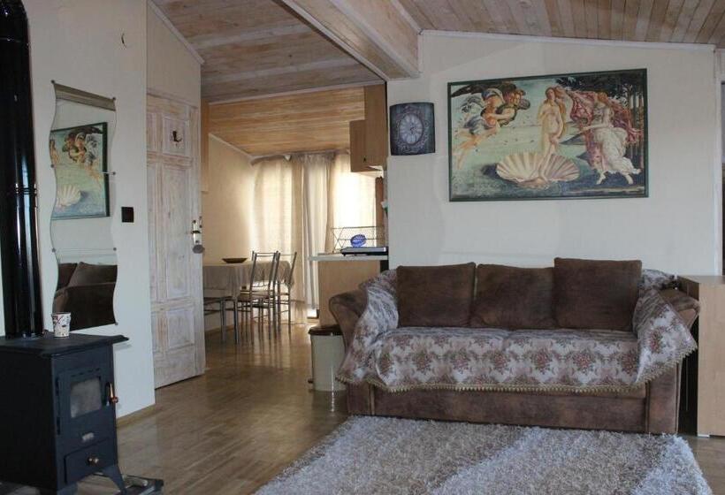Полулюкс с Балконом, Guest House Dara