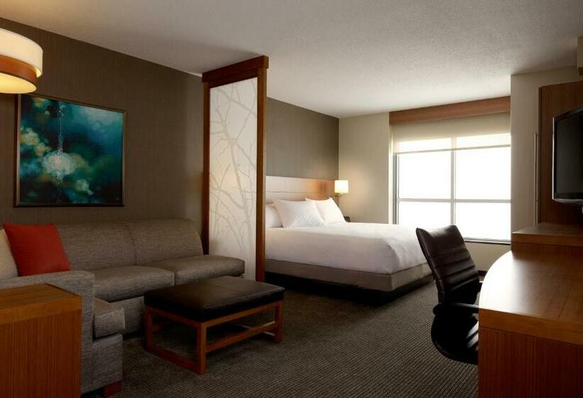 스탠다드 룸 킹사이즈 침대, Hyatt Place St. Louis/chesterfield