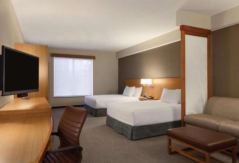 스탠다드 룸 더블 침대 2개, Hyatt Place St. Louis/chesterfield