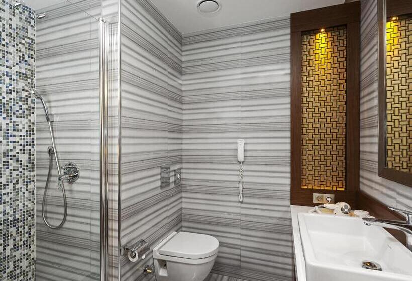 اتاق استاندارد, Manesol Boutique Galata