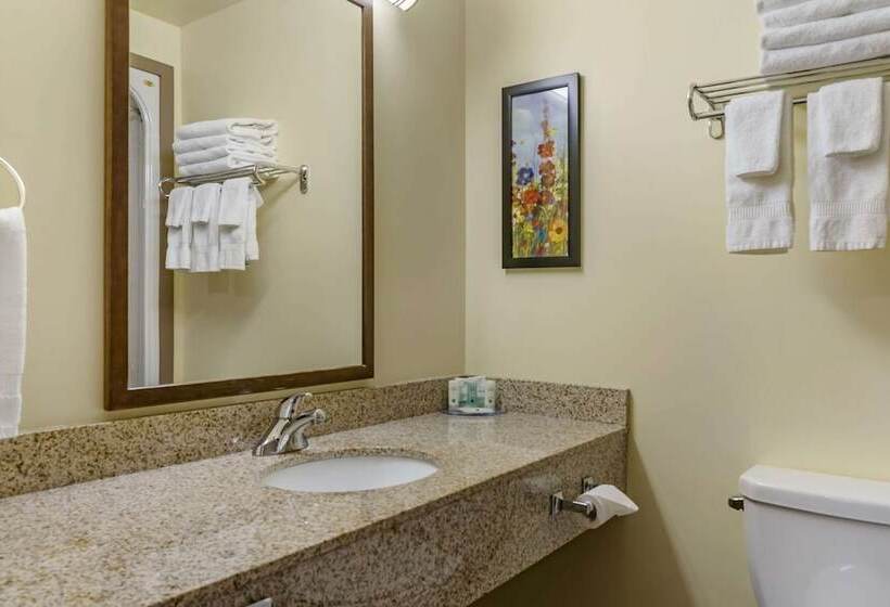 Люкс, Quality Inn & Suites