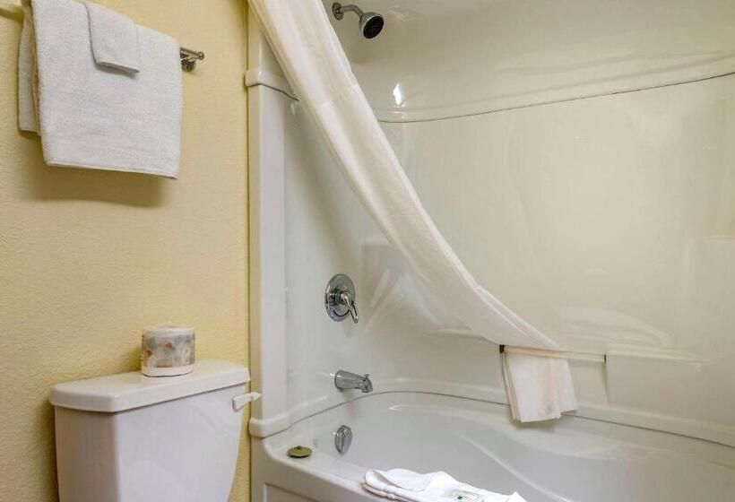 Номер Стандарт, Quality Inn & Suites