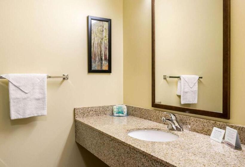 Люкс, Quality Inn & Suites