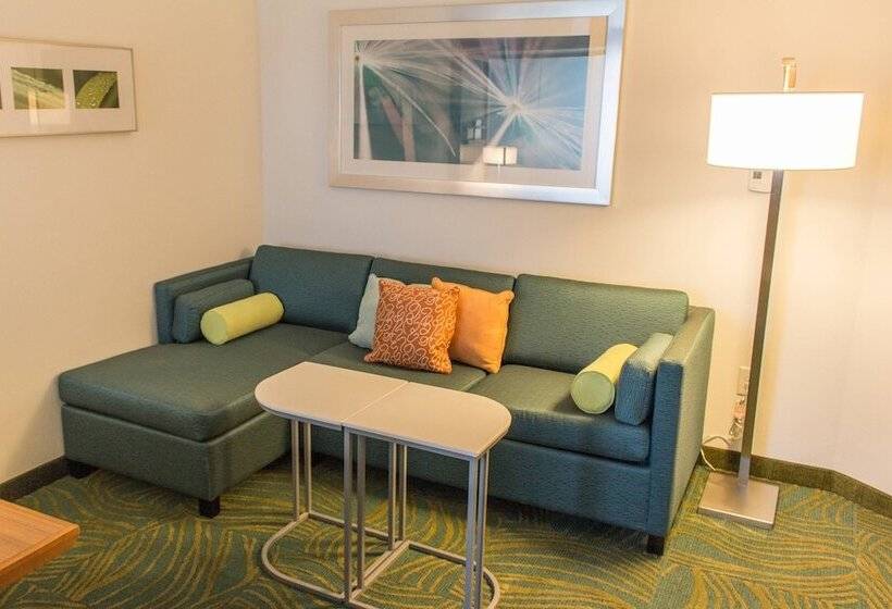 스위트, Springhill Suites By Marriott Sumter