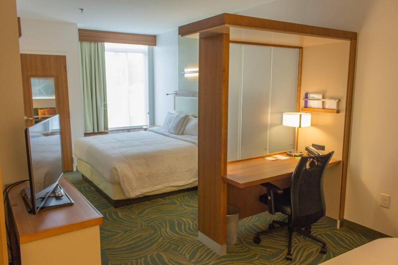 스위트 킹사이즈 침대, Springhill Suites By Marriott Sumter