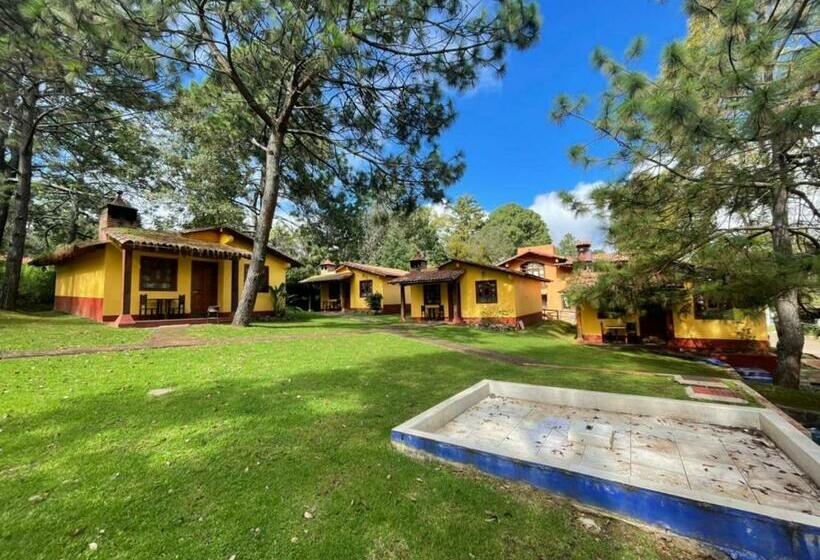 Woonhut, Cabañas Rosy